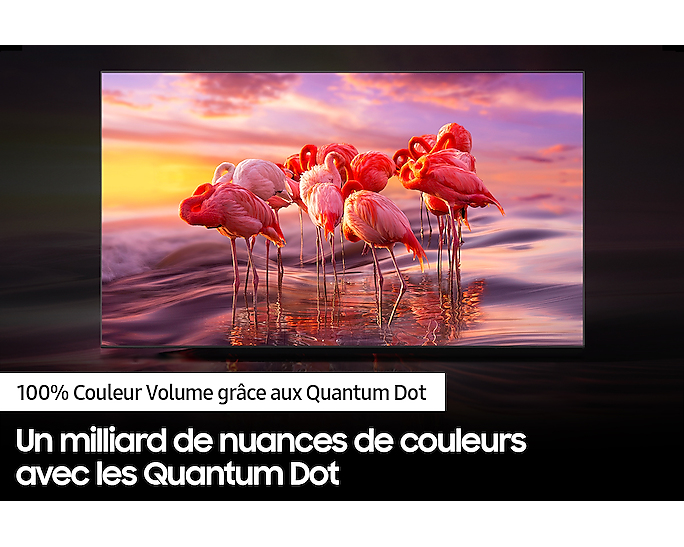 TV QLED TQ32Q50A 2024 - vue 6