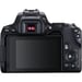 Canon EOS 250D + EF-S 18-55mm f/3.5-5.6 III Juego de cámara SLR 24,1 MP CMOS 6000 x 4000 Pixeles Negro