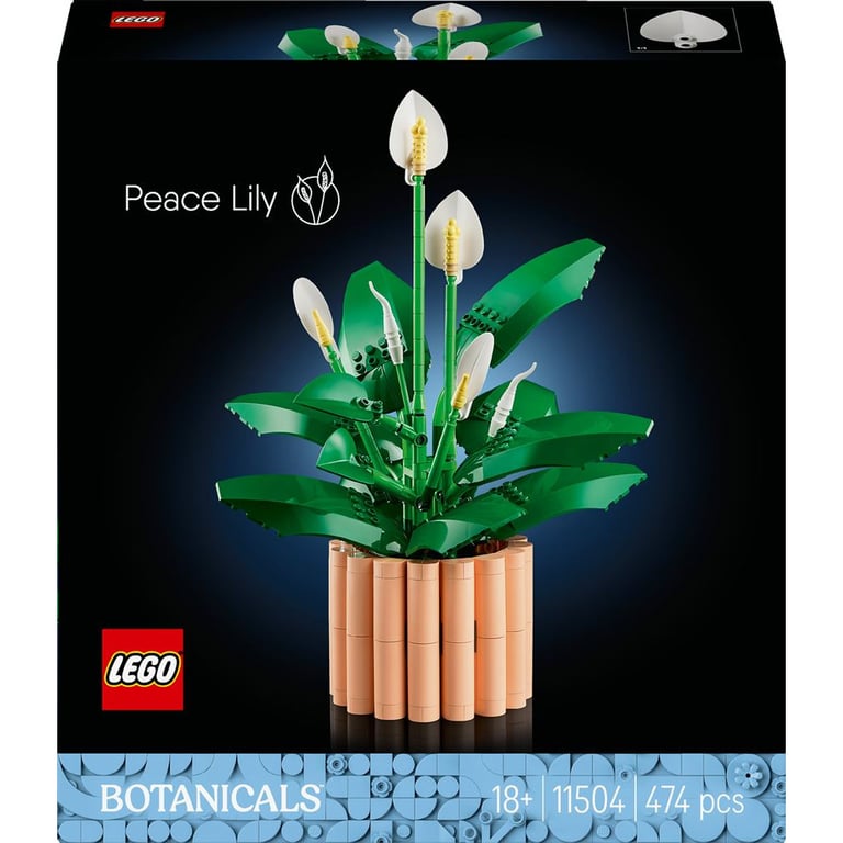 LEGO Botanicals Les Fleurs de Lune 11504 - vue 7