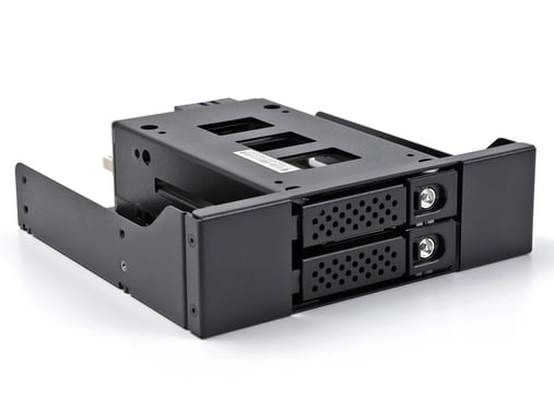 DeLOCK Rack mince et amovible de baie pour 2 x SSD 2.5? U.2 NVMe SSD avec châssis 5.25?