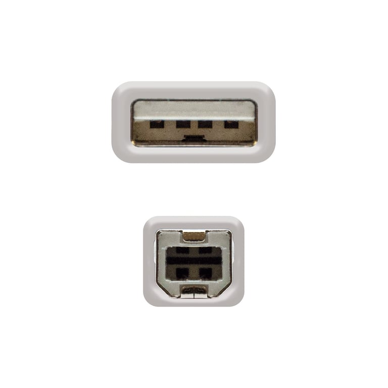 Nanocable 10.01.0102 câble USB USB 2.0 1 m USB A USB B Beige - vue 3