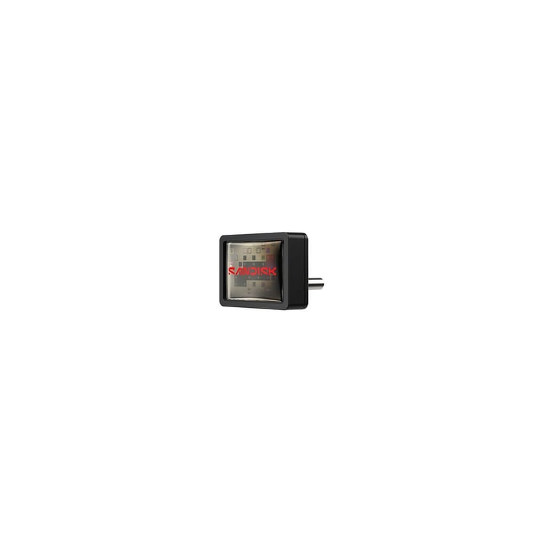 Clé USB-C SanDisk Extreme Fit 256 Go USB 3.2 Gen 1 Noir - Neuf