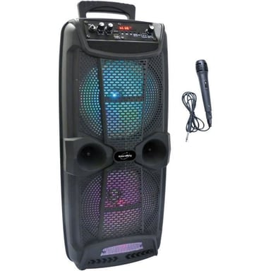 100w Haut-parleur de karaoké professionnel portable Double sans fil Karaoké  Microphone Sans fil Haut-parleur stéréo basse