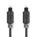 Nedis CABW25000AT50 5 m di cavo audio TOSLINK Antracite