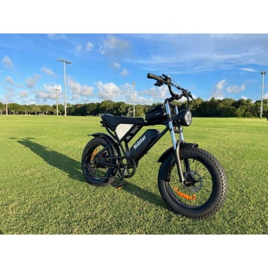 Vélo électrique Ridstar Q20 Mini  pour adultes 1000 W 48 V 15 Ah 20 pouces Fat Tire Dirt Bike