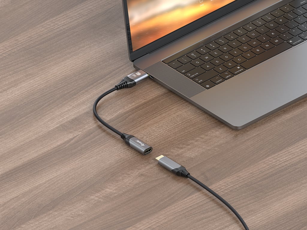 Equip Adaptateur DisplayPort 1.4 vers HDMI 8K60Hz Neuf - vue 4