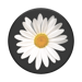 PopSockets Grip White Daisy (new 2019 packaging)