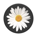 PopSockets Grip White Daisy (nuova confezione 2019)