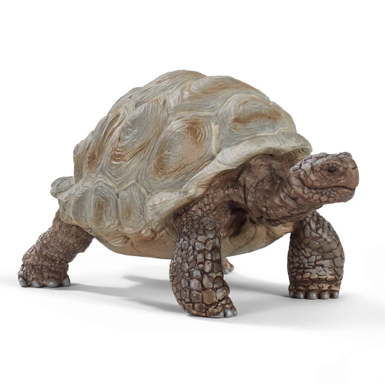 Schleich Figurine tortue géante 14824