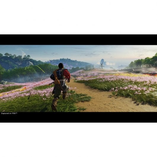Jeu vidéo PlayStation 4 Sony GHOST OF TSUSHIMA DIRECTORS CUT - vue 2