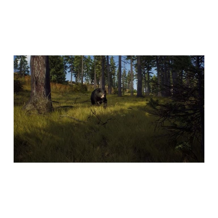 Way of the Hunter Hunting Season One PlayStation 5 - vue 7