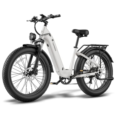 Bicicletta elettrica FAFREES F26 ROVER con batteria da 48 V 20 Ah e motore da 250 W - grigia