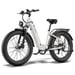 Bicicletta elettrica FAFREES F26 ROVER con batteria da 48 V 20 Ah e motore da 250 W - grigia