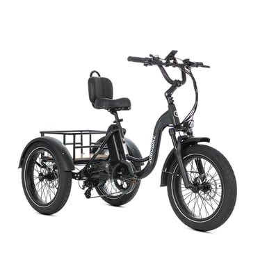 Triciclo eléctrico de carga JOBOBIKE Triker, batería LG de 48 V y 15 Ah - negro