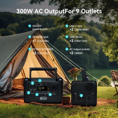 Estación de energía portátil Flashfish T300Pro, 300 W de potencia, 230 Wh de capacidad, batería de fosfato de hierro y litio.