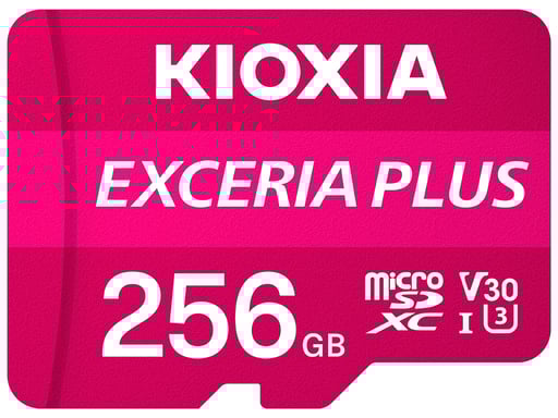 Exceria Plus, 256 GB, MicroSDXC, Classe 10, UHS-I, 100 MB-S, 85 MB-S