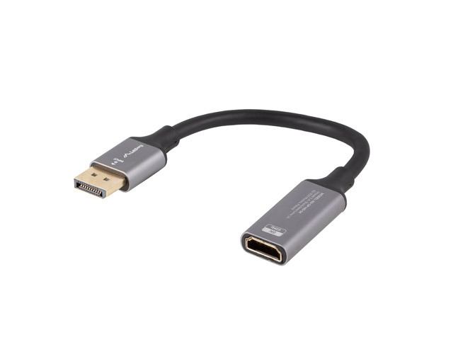 Lanberg AD-DP-HD-04 câble vidéo et adaptateur 0,2 m DisplayPort HDMI