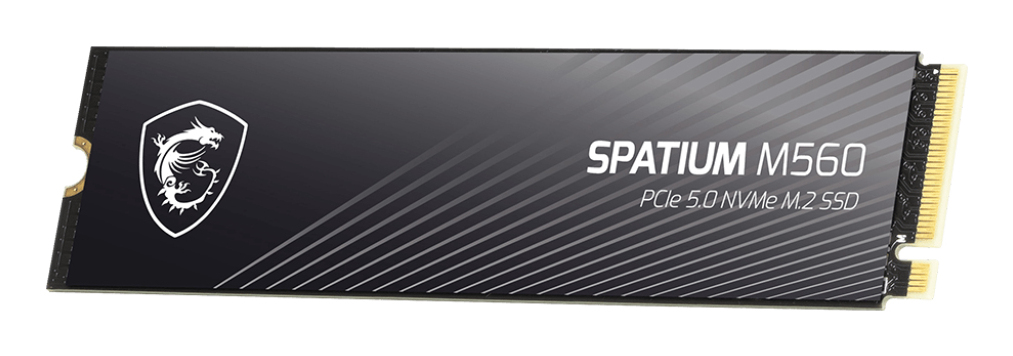MSI Spatium M560 PCIE 5.0 NVME M.2 1TB 1 To PCI Express 5.0 3D NAND - Neuf