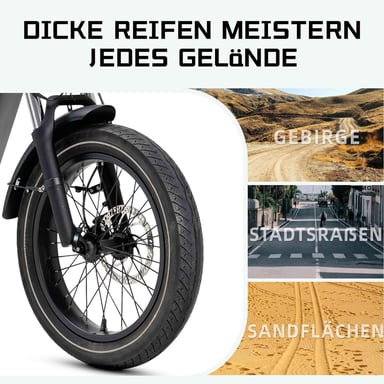 Bici elettrica pieghevole JOBOBIKE Romer 20 pollici, batteria 250W 48V 15AH