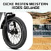 Bici elettrica pieghevole JOBOBIKE Romer 20 pollici, batteria 250W 48V 15AH