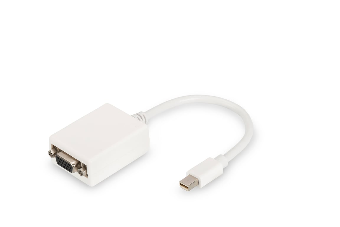 Digitus Câble d'adaptateur DisplayPort Neuf