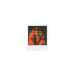 Pack de 16 Films Photo Color 6.6x5.4cm pour Appareil Photo GO Polaroid