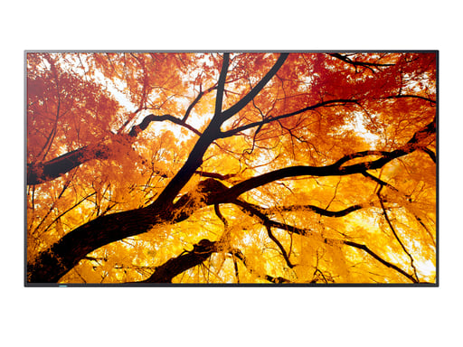 Moniteur Videowall 4K Ultra HD 42,5'' de Sharp