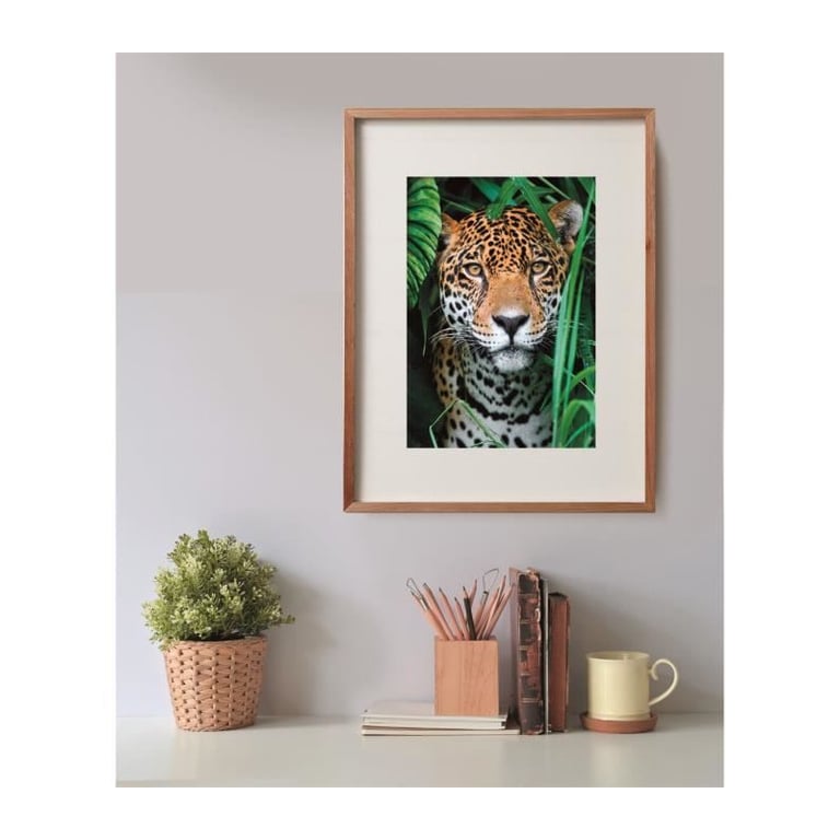 CLEMENTONI - Compact 500 pieces - Jaguar in the jungle - Neuf