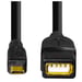 Câble adaptateur USB 2.0, OTG, mâle micro-B vers USB-A femelle, 15 cm, noir