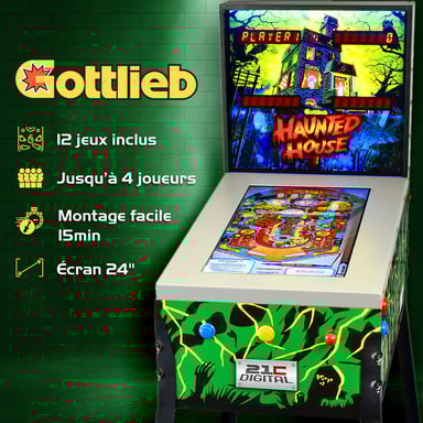 Flipper digitale con schermo LCD da 24'' su cavalletto - 12 giochi inclusi - 4 giocatori - Nudge e Tilt - Tipo di macchina arcade