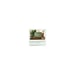 PC Portatile Microsoft Surface Laptop 13,8 Snapdragon X2 Elite 16 GB 512 GB SSD Schermo touch PixelSense Flow Verde