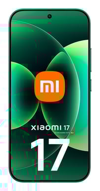 17 (5G) 512 GB, Verde