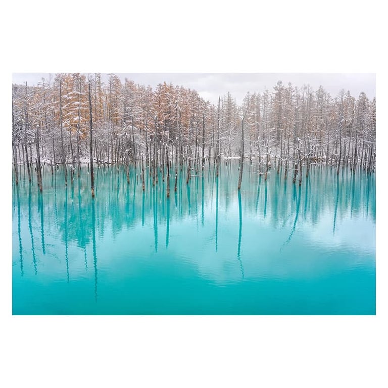 Objectif à Focale fixe Sigma DG CTP 35 mm f2 22 pour Monture Sony FE - vue 4