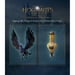 Hogwarts Legacy L'Héritage de Poudlard PS4