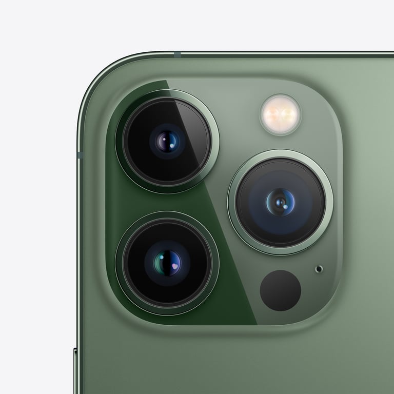 iPhone 13 Pro 1 To, Vert alpin, débloqué