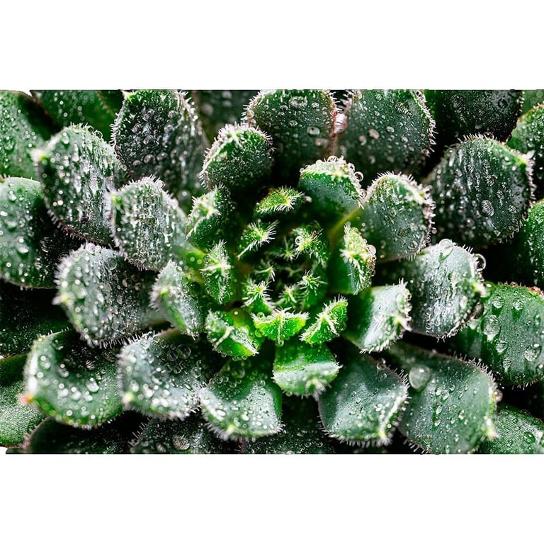 TAMRON 902.8 DI III MACRO VXD Z - vue 4