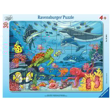 Puzzle educativo de fondo marino para niños de 4 años - de 30 a 48 piezas