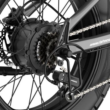 Vélo électrique FAFREES F20 Ultra (Homologation UE L1e-B) - Moteur 750 W batterie 48V25Ah pneu large 20 pouces Freins hydrauliques - Gris