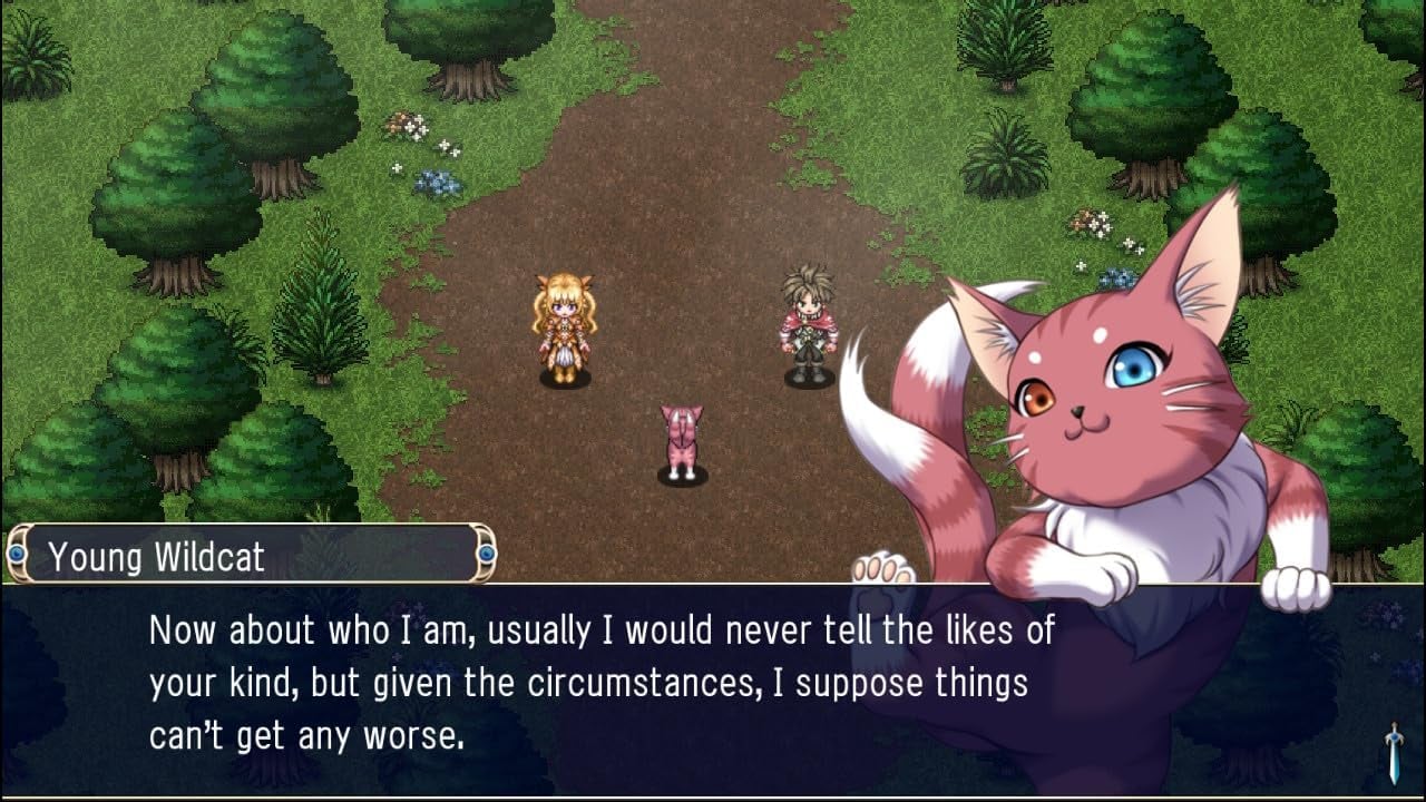 Kemco RPG Selection Vol. 1 Switch - vue 3