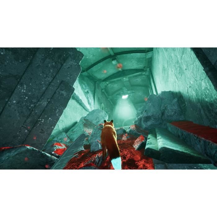 Spirit of the North 2 PS5 - vue 3