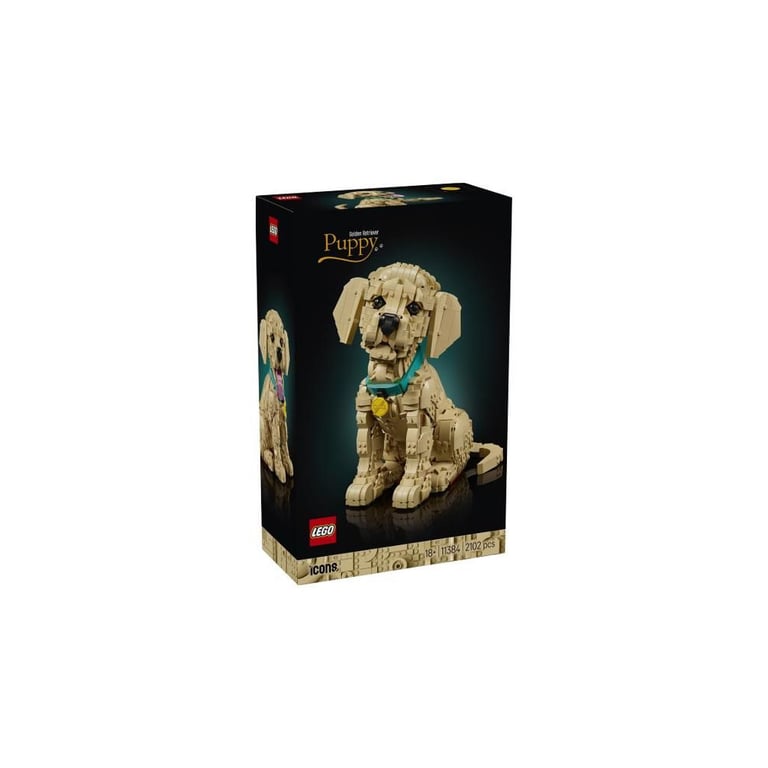 LEGO Icons Le Chiot Golden Retriever 11384 - vue 4
