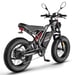 Vélo électrique FAFREES F20 Ultra (Homologation UE L1e-B) - Moteur 750 W batterie 48V25Ah pneu large 20 pouces Freins hydrauliques - Gris