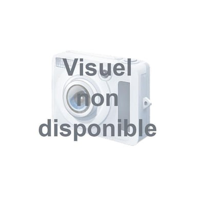 COPPETTE RACLETTE x2 OVALE TEFAL TEFAL - XA400102