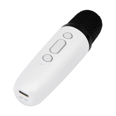 Altoparlante Bluetooth 5.1 con 2 microfoni wireless Karaoke Party Modello Btmic 15W
