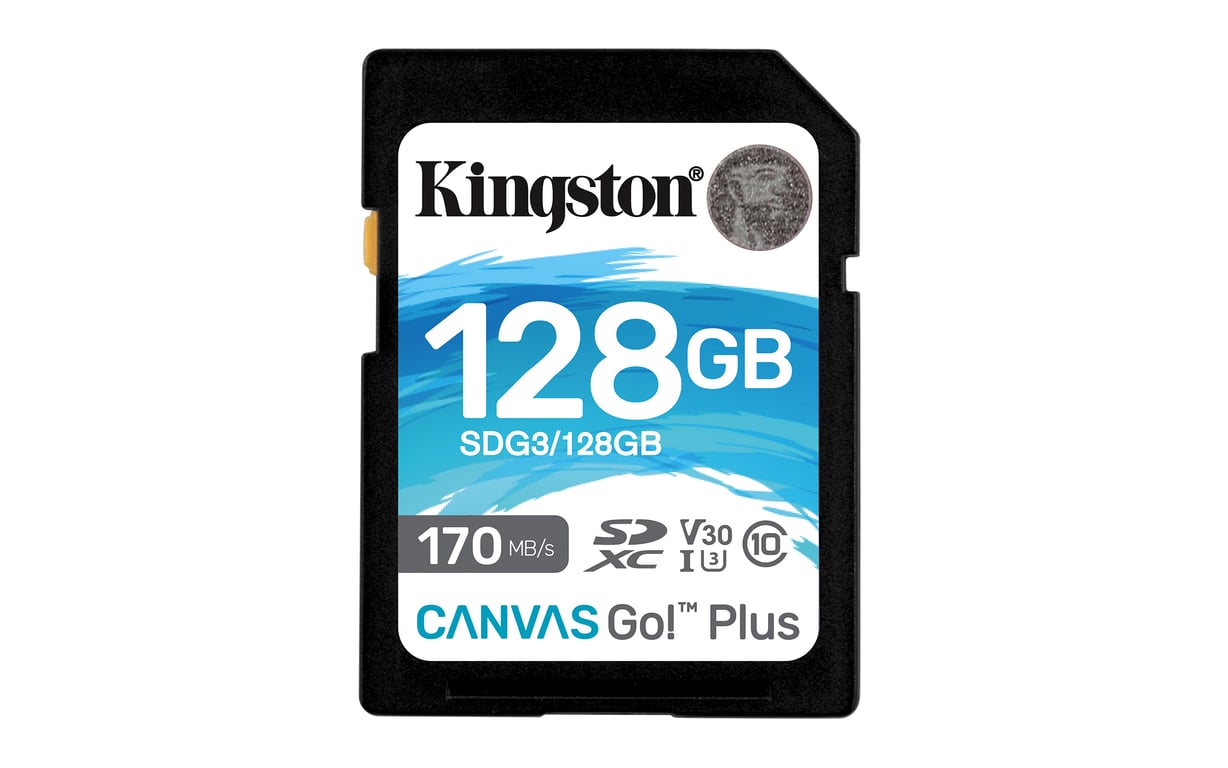 Kingston SD Plus Canvas Go! SDG31TB - vue 7