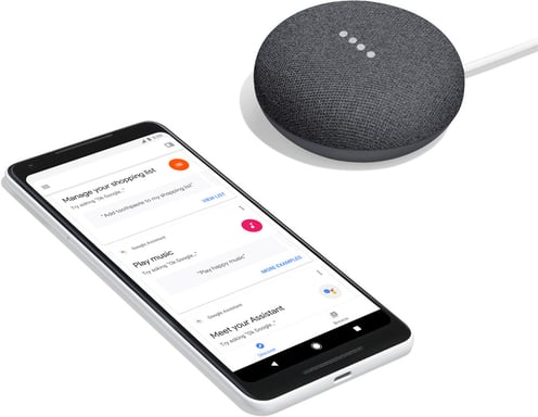 Google Home Nest Mini carbone