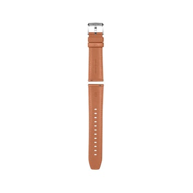 Watch GT 2 Classic, Boitier de 46mm argenté et bracelet Brun Cuir