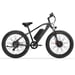 Bici elettrica LANKELEISI MG740PLUS Doppio motore 2000W 26 pollici 48V 20AH