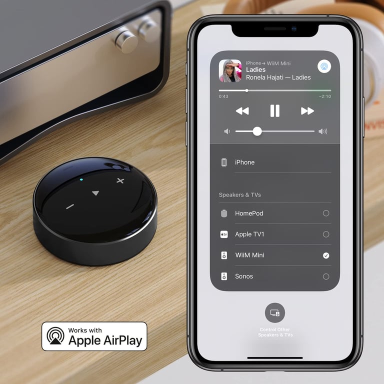 Lecteur Réseau Hi-Fi Wiim Mini – Streaming Hi-Res, Bluetooth, Multiroom - vue 6
