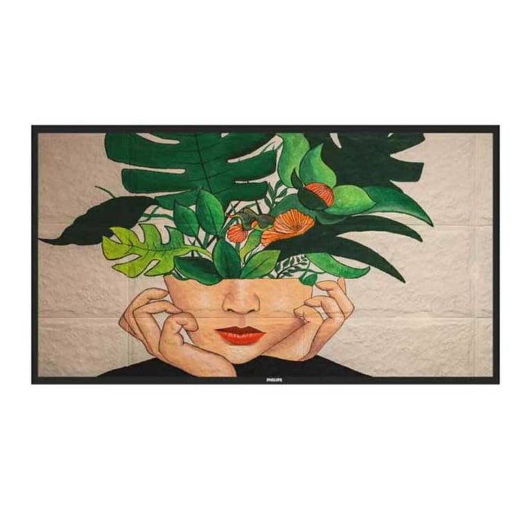 Philips 50BDL4511D - vue 2